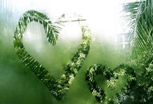  葡超赛程吃紧，塞维利亚冲刺阶段回应争议，态度坚定，轮换策略成焦点