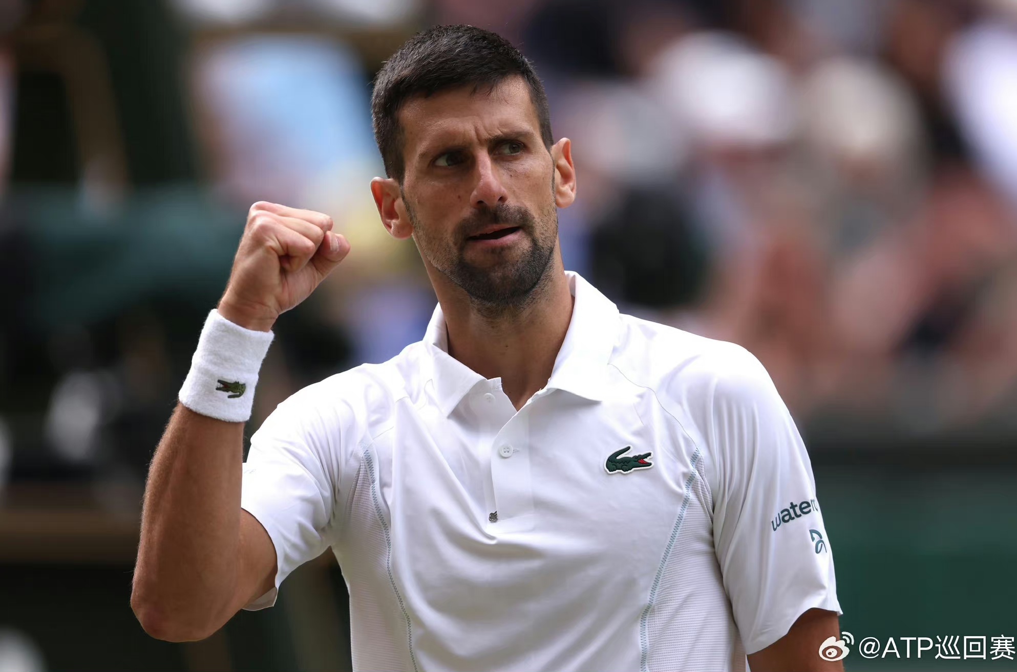 包含德约科维奇赛事官方发布战术调整新规，塞尔维亚队争议不断！的词条